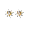 9K 2 Colour Gold CZ Star Stud Earrings