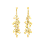 Leaf Loop and Drop Earrings