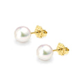 18K Yellow Gold Akoya AAA Grade Pearl Stud Earrings 7.5mm