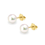 18K Yellow Gold Akoya AAA Grade Pearl Stud Earrings 7.5mm