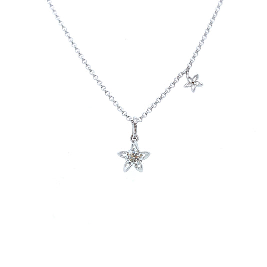 9K White Gold 0.20ct Diamond Star Necklace