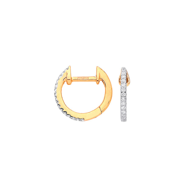 9ct Yellow Gold 0.10ct Diamond Earrings (£375)