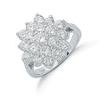Silver Claw Set CZ Cluster Ring 4.9g
