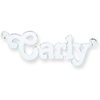 Silver Medium Terra Nameplate With 16"/18"/20" Chain