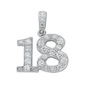 Silver Pave Set CZ 18 Drop Pendant