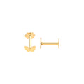 Yellow Gold Butterfly Screw Earrings Cartilage Stud