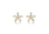 9ct Yellow Gold CZ Flower Stud Earrings