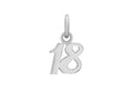 Sterling Silver 18 Pendent Charm