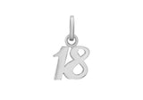 Sterling Silver 18 Pendent Charm