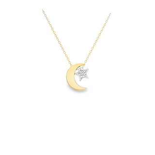 9ct 2-Coloured Gold Moon & Star Necklace